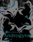 Androgyne - mobi, epub