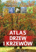 Atlas drzew i krzewów - pdf