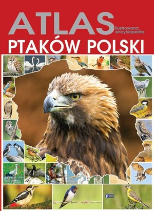 Atlas ptaków Polski Ilustrowana encyklopedia