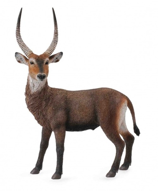 Figurka Antylopa Waterbuck Rozmiar L