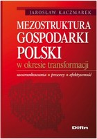 Mezostruktura gospodarki Polski w okresie transformacji - pdf Uwarunkowania, procesy, efektywność