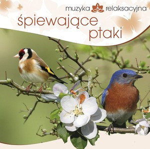 Muzyka relaksacyjna: Śpiewające ptaki