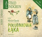 Południowa Łąka - Audiobook mp3