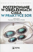 Postępowanie w obrażeniach ciała w praktyce SOR - mobi, epub