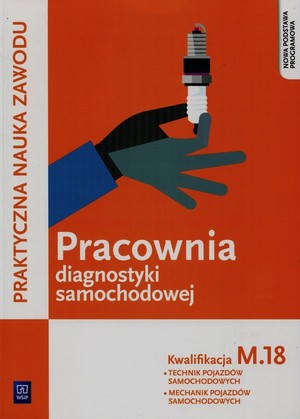 Pracownia diagnostyki samochodowej. Kwalifikacja M.18. Diagnozowanie i naprawa podzespołów i zespołów pojazdów samochodowych Praktyczna nauka zawodu