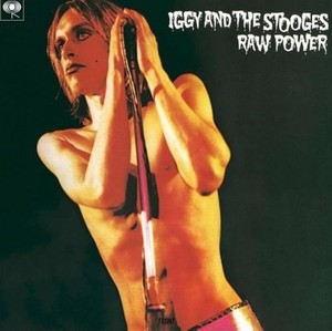 Raw power (vinyl)