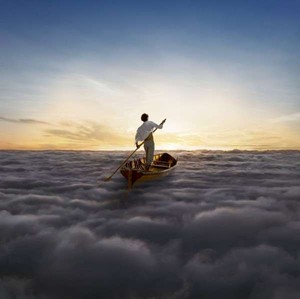 The Endless River (vinyl)