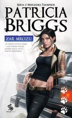 Żar mrozu - mobi, epub