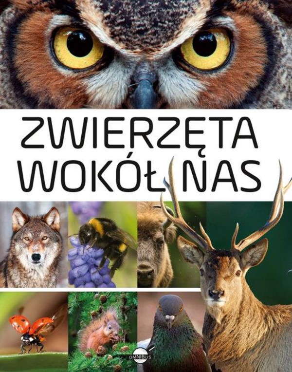 Zwierzęta wokół nas Encyklopedia ilustrowana