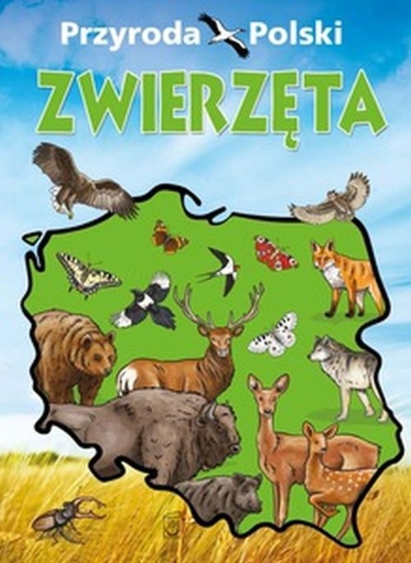Zwierzęta Przyroda Polski