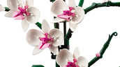 LEGO Icons Orchidea 10311