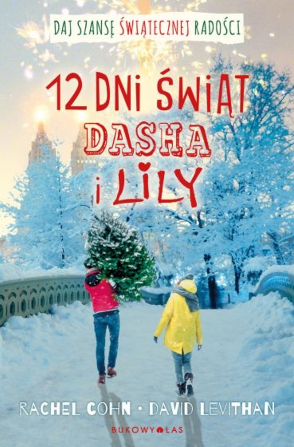 12 dni świąt Dasha i Lily - mobi, epub