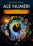 Ale Numer! - mobi, epub, pdf Podręcznik skutecznego wykorzystania numerologicznej magii liczb w Twoim życiu