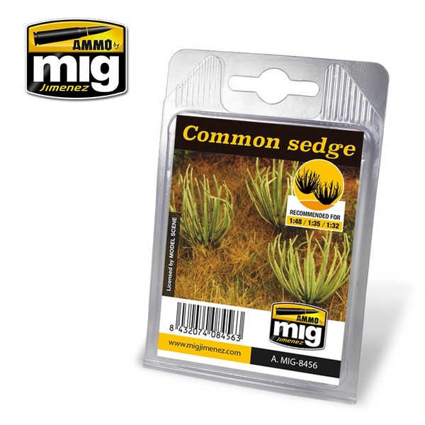 Plants - Common Sedge