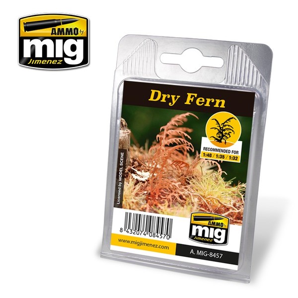 Plants - Dry Fern
