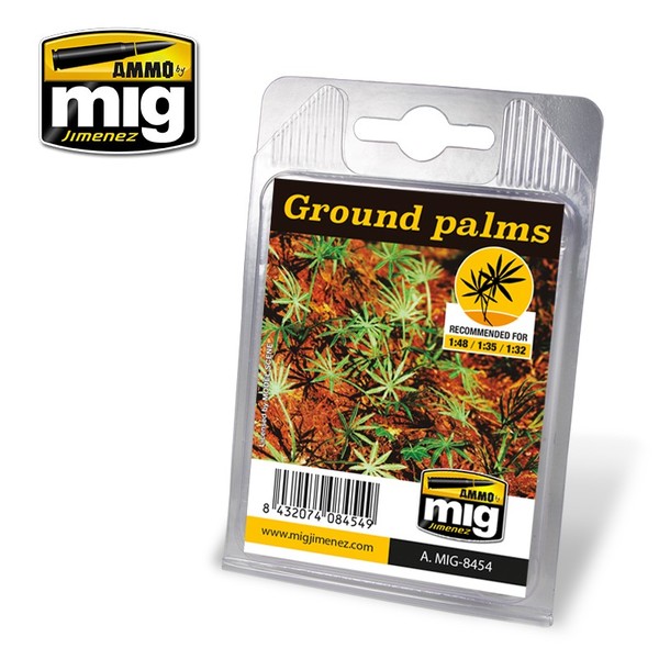 Plants - Ground Palms