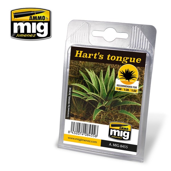 Plants - Hart`s Tongue