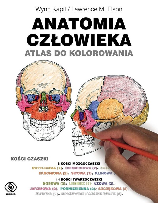Anatomia człowieka. Atlas do kolorowania Kości czaszki