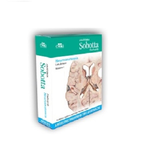 Anatomia Sobotta. Flashcards. Neuroanatomia Angielskie mianownictwo anatomiczne