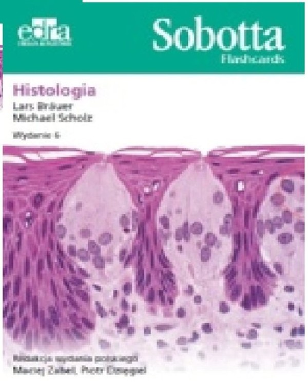 Anatomia Sobotta. Flashcards Histologia