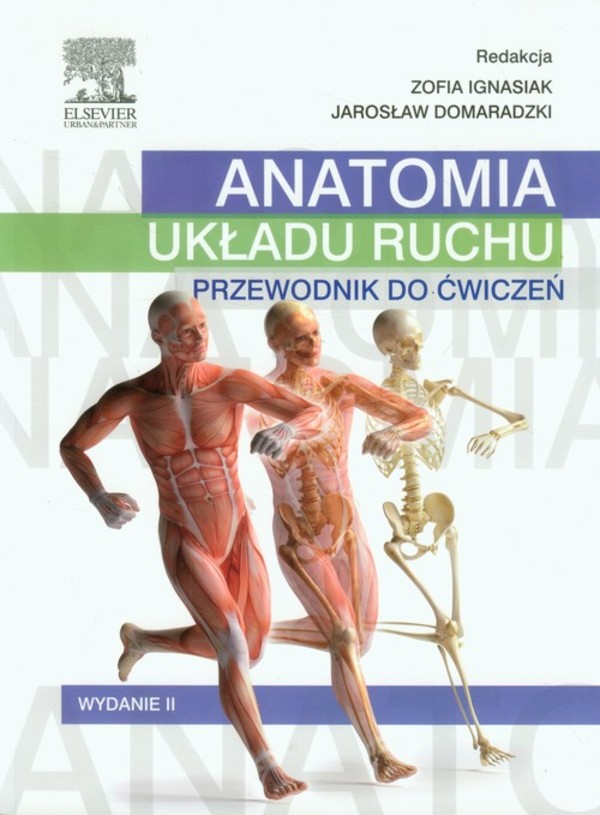 Anatomia układu ruchu. Przewodnik do ćwiczeń