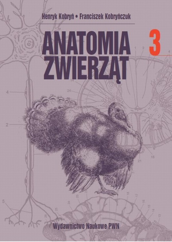 Anatomia zwierząt, t. 3 - pdf