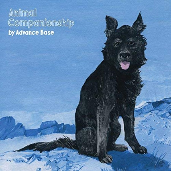 Animal Companionship (vinyl)