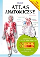 Atlas anatomiczny - pdf