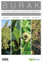Burak Identyfikacja agrofagów oraz niedoborów pokarmowych - pdf
