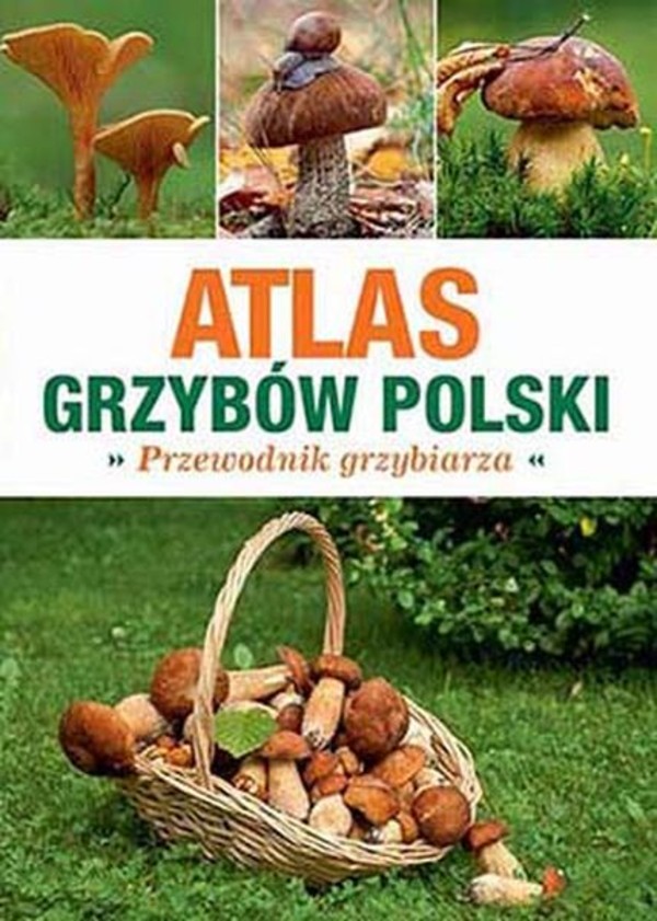 Atlas grzybów polski Przewodnik grzybiarza