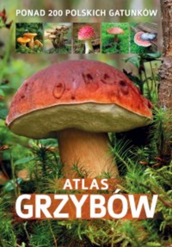 Atlas grzybów - pdf