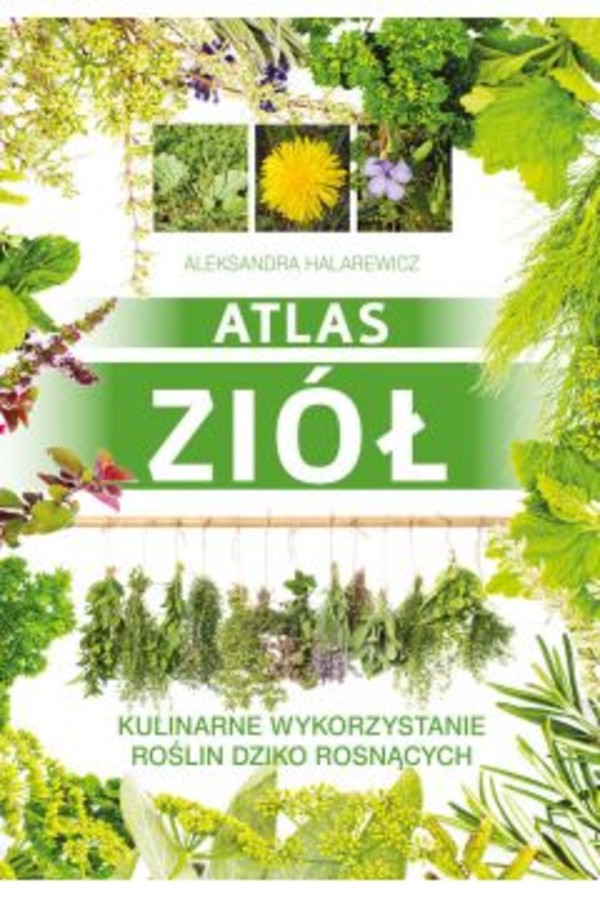 Atlas ziół Kulinarne wykorzystywanie roślin dziko rosnących