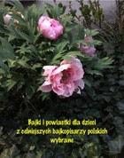 Okładka:Bajki i powiastki dla dzieci z celniejszych bajkopisarzy polskich wybrane 