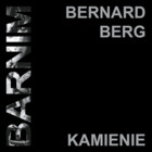 BARNIM Kamienie - Audiobook mp3