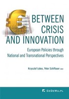 Okładka:Between Crisis and Innovation 