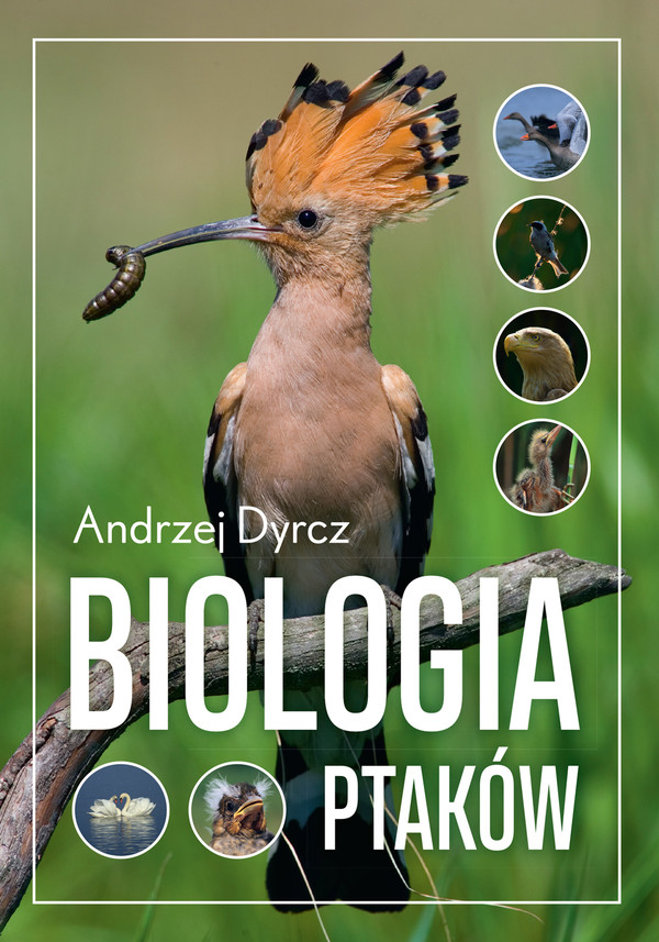 Biologia ptaków - mobi, epub, pdf