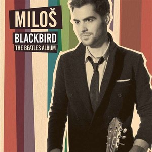 Blackbirds, the Beatles Album (vinyl)