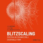 Blitzscaling - Audiobook mp3 Ścieżka błyskawicznej ekspansji firm