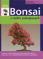 Bonsai z roślin pokojowych