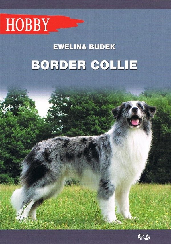 Border Collie Hobby