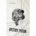 Okładka:Bystry Potok 