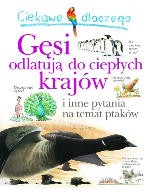 Ciekawe dlaczego. Gęsi odlatują do ciepłych krajów i inne pytania na temat ptaków