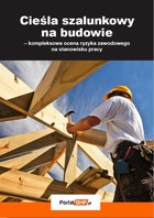 Cieśla szalunkowy na budowie - kompleksowa ocena ryzyka zawodowego na stanowisku pracy - mobi, epub, pdf