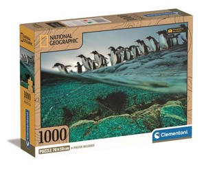 Puzzle Compact National Geographic Pingwiny 1000 elementów