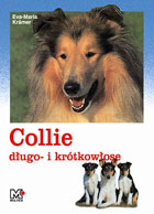 Collie długo- i krótkowłose