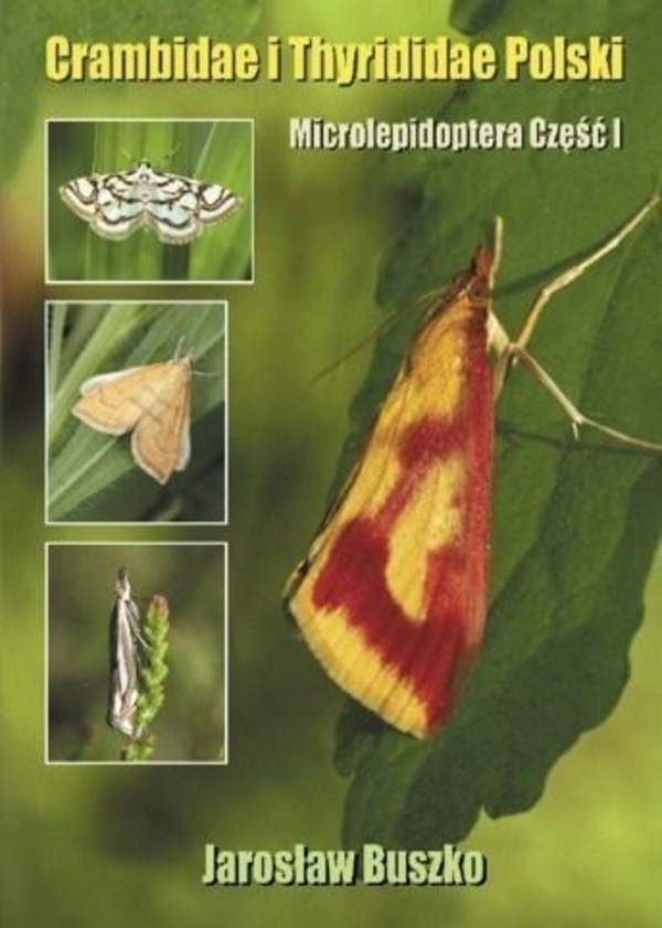 Crambidae i Thyrididae Polski Microlepidoptera część 1