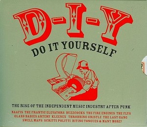 D-I-Y - Do It Yourself The Rise Of The Independient Music Industry After Punk