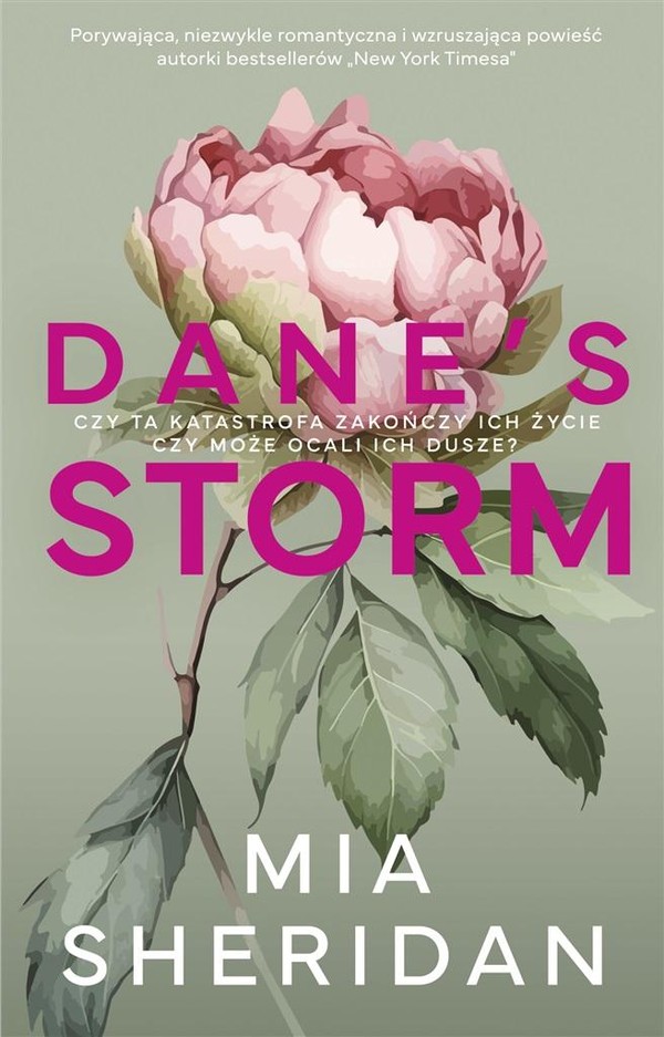 Dane s Storm