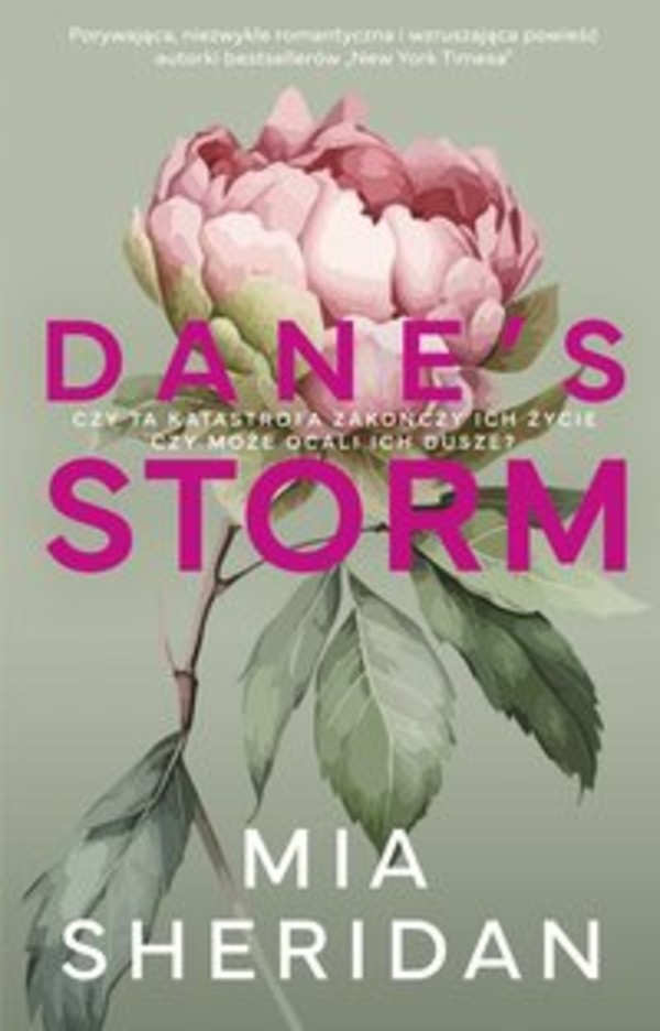 Dane's Storm - mobi, epub