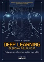 Deep Learning. Głęboka rewolucja - mobi, epub Kiedy sztuczna inteligencja spotyka się z ludzką